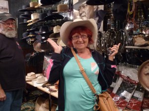 The Wild Flower Rose.